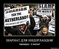 ШАРИАТ ДЛЯ НИДЕРЛАНДОВ! паранджу - в массы!