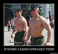 В ЧЕЧНЕ ТАКИМ ОТРЕЗАЮТ УШИ! 