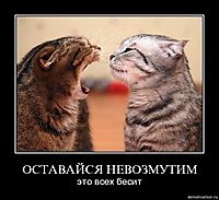 ОСТАВАЙСЯ НЕВОЗМУТИМ это всех бесит