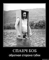 СПАНЧ БОБ обратная сторона губки
