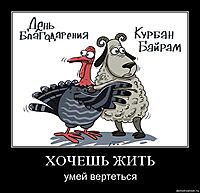 ХОЧЕШЬ ЖИТЬ умей вертеться
