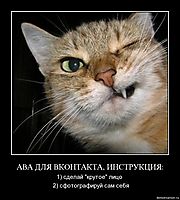 АВА ДЛЯ ВКОНТАКТА, ИНСТРУКЦИЯ: 1) сделай "крутое" лицо   2) сфотографируй сам себя