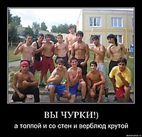 ВЫ ЧУРКИ!) а толпой и со стен и верблюд крутой