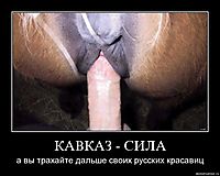 КАВКАЗ - СИЛА а вы трахайте дальше своих русских красавиц