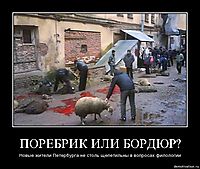 ПОРЕБРИК ИЛИ БОРДЮР? Новые жители Петербурга не столь щепетильны в вопросах филологии