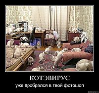 КОТЭВИРУС уже пробрался в твой фотошоп
