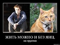 ЖИТЬ МОЖНО И БЕЗ ЯИЦ, но грустно