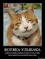 КОТЯКА-УЛЫБАКА даже кот любит улыбаться просто так, а тебе для поднятия настроения нужно пиво