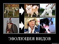 ЭВОЛЮЦИЯ ВИДОВ 