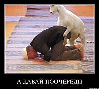 А ДАВАЙ ПООЧЕРЕДИ 