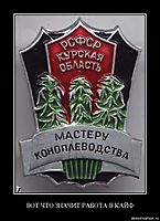 ВОТ ЧТО ЗНАЧИТ РАБОТА В КАЙФ 