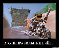 ЭТО НЕПРАВИЛЬНЫЕ ПЧЁЛЫ! 