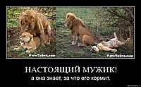 НАСТОЯЩИЙ МУЖИК! а она знает, за что его кормит.