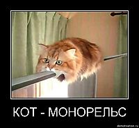 КОТ - МОНОРЕЛЬС 