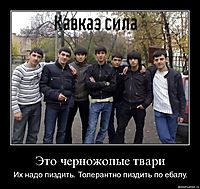 Это черножопые твари Их надо пиздить. Толерантно пиздить по ебалу.
