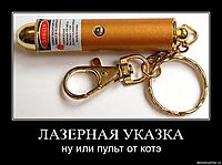 ЛАЗЕРНАЯ УКАЗКА ну или пульт от котэ