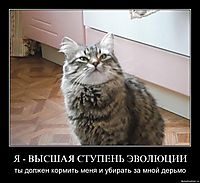 Я - ВЫСШАЯ СТУПЕНЬ ЭВОЛЮЦИИ ты должен кормить меня и убирать за мной дерьмо