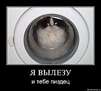 Я ВЫЛЕЗУ и тебе пиздец