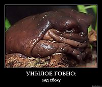 УНЫЛOE ГOВНO: