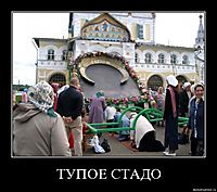 ТУПОЕ СТАДО 