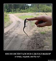 ОН НЕ ИСПУГАЛСЯ И СДЕЛАЛ ВЫБОР а теперь, подумай, смог бы ты?...