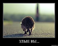 ЗЛЫЕ ВЫ... 