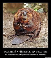 БОЛЬШОЙ ХУЙ НЕ ВСЕГДА СЧАСТЬЕ. на любой большой хуй может наступить медведь