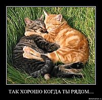 ТАК ХОРОШО КОГДА ТЫ РЯДОМ.... 