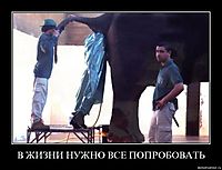 В ЖИЗНИ НУЖНО ВСЕ ПОПРОБОВАТЬ 