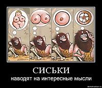 СИСЬКИ наводят на интересные мысли