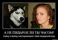 А НЕ ПИДАРОК ЛИ ТЫ ЧАСОМ? лайку и майку настораживает твой пидорский вид