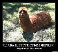 СЛАВА ШЕРСТИСТЫМ ЧЕРВЯМ. смерть всем человекам.