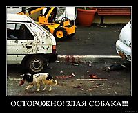 ОСТОРОЖНО! ЗЛАЯ СОБАКА!!! 