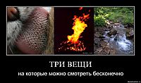 ТРИ ВЕЩИ на которые можно смотреть бесконечно