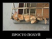 ПРОСТО ПОХУЙ 