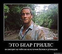 ЭТО БЕАР ГРИЛЛС он смотрит на тебя как на источник белков и углеводов