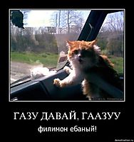 ГАЗУ ДАВАЙ, ГААЗУУ филимон ебаный!
