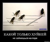 КАКОЙ ТОЛЬКО ХУЙНЕЙ не займешься на паре