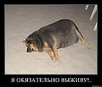 Я ОБЯЗАТЕЛЬНО ВЫЖИВУ!.. 