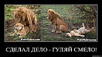 СДЕЛАЛ ДЕЛО - ГУЛЯЙ СМЕЛО! 