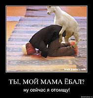 ТЫ, МОЙ МАМА ЁБАЛ? ну сейчас я отомщу!
