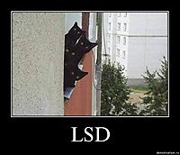 LSD 
