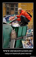 WWW.DEMOTIVATION.RU