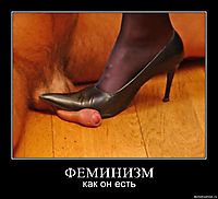 ФЕМИНИЗМ как он есть