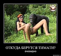 ОТКУДА БЕРУТСЯ ТИМАТИ? очевидно
