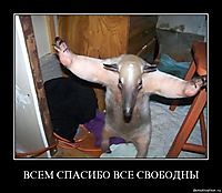 ВСЕМ СПАСИБО ВСЕ СВОБОДНЫ 