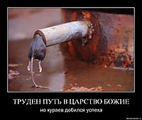 ТРУДЕН ПУТЬ В ЦАРСТВО БОЖИЕ но кураев добился успеха