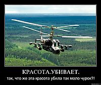 КРАСОТА.УБИВАЕТ. так, что же эта красота убила так мало чурок?!