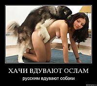 ХАЧИ ВДУВАЮТ ОСЛАМ русским вдувают собаки