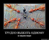 ТРУДНО ВЫЖИТЬ ОДНОМУ в нашем мире